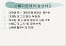 소비자문제와 피해구제 5페이지