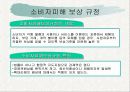 소비자문제와 피해구제 7페이지