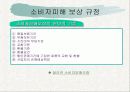 소비자문제와 피해구제 8페이지