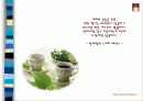 커피의 모든 것 2페이지