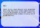 지도성 (leadership) 21페이지