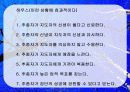 지도성 (leadership) 25페이지