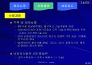 벤처기업조사 13페이지