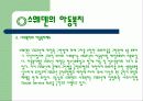 우리나라의 여성복지 15페이지