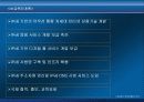 IPv6 도입과 동향 13페이지
