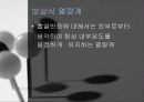 열량계법 13페이지