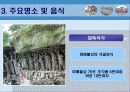 신흥시장투자론-중국 – 중경(重慶 : 충칭) 11페이지