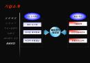 닌텐도의 성공과 실패요인 분석 9페이지
