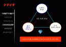 닌텐도의 성공과 실패요인 분석 15페이지