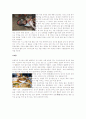 중앙아시아의 음식문화 3페이지