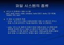파일시스템의 분석 (기능,기본구조,구성요소,종류등 알차게정리했습니다) 8페이지