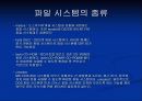 파일시스템의 분석 (기능,기본구조,구성요소,종류등 알차게정리했습니다) 9페이지