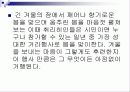[PPT자료] 스위스의  섹세로이텐  축제 3페이지