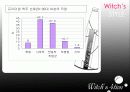 [PPT자료] 가상맥주브랜드의 수입 병맥주시장 진입전략 8페이지