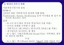 이종격투기 인간본능과 상업성 폭력성 5페이지