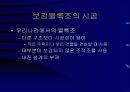 보강블록조 9페이지