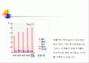 오천만원 투자의 포트폴리오 14페이지