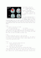 [학습유형,교육학] 인간의 학습유형과 성별로 인한 차이 분석 20페이지