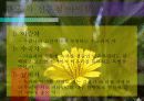 사업계획보고서 6페이지