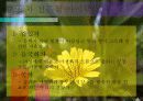 사업계획보고서 7페이지