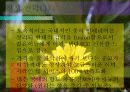 사업계획보고서 10페이지