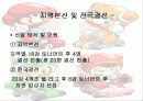 코크플레이 배 카트라이더에 대한 레포트(파워포인트) 16페이지