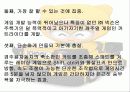 코크플레이 배 카트라이더에 대한 레포트(파워포인트) 21페이지