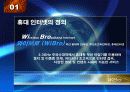 와이브로(wibro) 휴대인터넷 5페이지