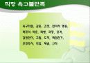 인간관계 관리와 스트레스 관리 ppt 8페이지