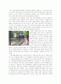 전주 동물원 조직 분석 3페이지