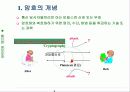 관용 암호와 고전 암호 방식 기술 3페이지