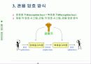 관용 암호와 고전 암호 방식 기술 5페이지