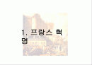 프랑스 혁명의 수정주의 해석 2페이지