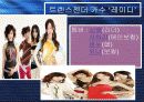 트랜스젠더의 유래및발전방향 23페이지