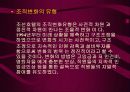 조선 호텔 구조조정 28페이지