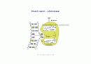 DNA repair와 cancer 5페이지