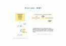 DNA repair와 cancer 6페이지