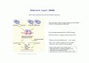 DNA repair와 cancer 9페이지