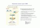 DNA repair와 cancer 11페이지