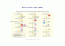 DNA repair와 cancer 13페이지