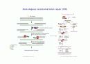DNA repair와 cancer 16페이지