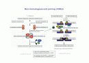 DNA repair와 cancer 17페이지