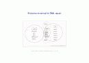 DNA repair와 cancer 18페이지