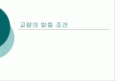 교량의 받침조건 1페이지