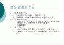 교량의 받침조건 3페이지