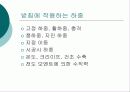교량의 받침조건 12페이지