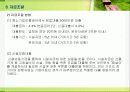 실버타운 사업계획서(A 자료) 23페이지
