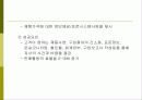 전자상거래에서의 인터넷 쇼핑몰 13페이지