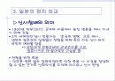 일본의 정치와 외교 21페이지