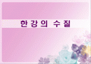 (수질오염) 한강의 수질 상태와 문제점 및 해결방안 모색 (고급 프레젠테이션) 1페이지